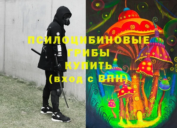 таблы Новодвинск