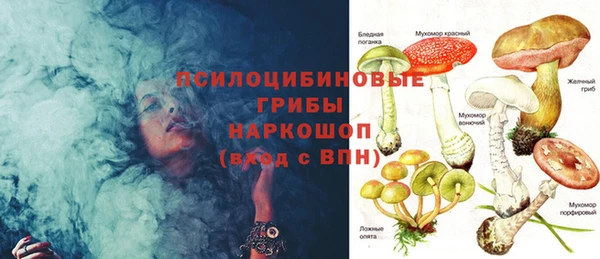 круглые Новозыбков