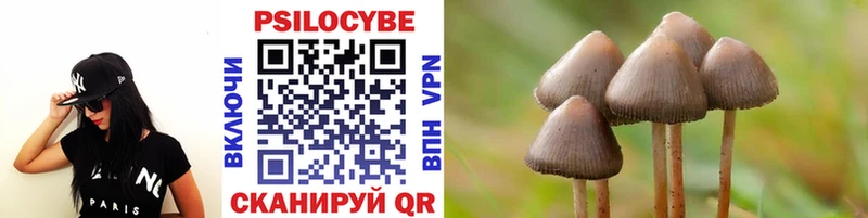 Псилоцибиновые грибы Psilocybe Красавино