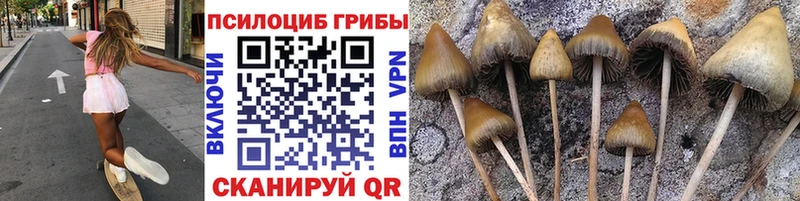 Псилоцибиновые грибы ЛСД Красавино